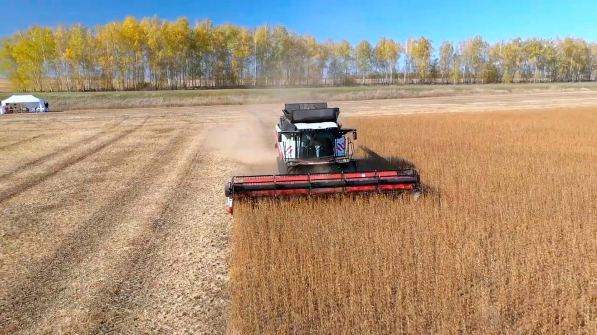 Задачи